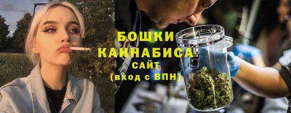 2c-b Краснослободск